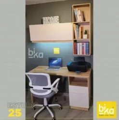 estudio 25