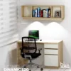 estudio dinamic moderno