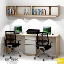 estudio twins