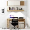 estudio dinamic x
