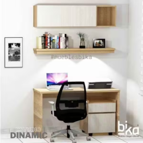 estudio dinamic x