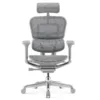 silla de escritorio ERGO-MAGNUM COLOR NEGRO