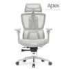Silla de escritorio presidente Apex color gris
