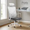 Silla de Escritorio Presidente Paris