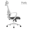 Silla de Escritorio Presidente Paris