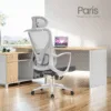 Silla de Escritorio Presidente Paris ergonomica