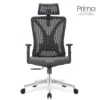 Silla de Escritorio Prima