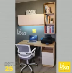 estudio 25