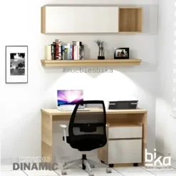 estudio dinamic x